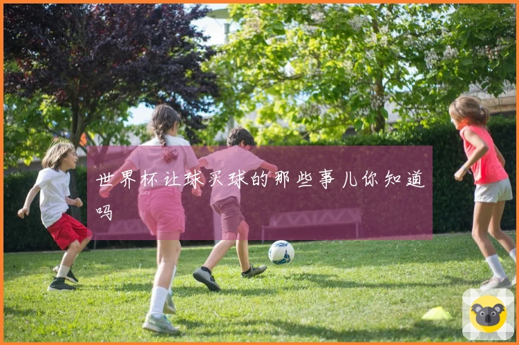 世界杯让球买球的那些事儿你知道吗