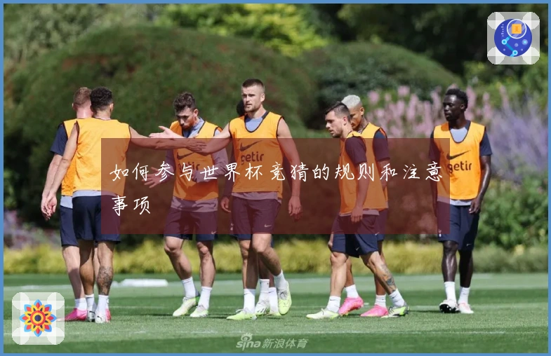 如何参与世界杯竞猜的规则和注意事项