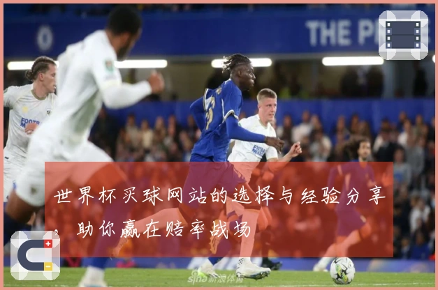 世界杯买球网站的选择与经验分享，助你赢在赔率战场