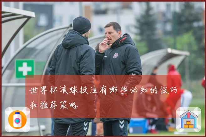 世界杯滚球投注有哪些必知的技巧和推荐策略