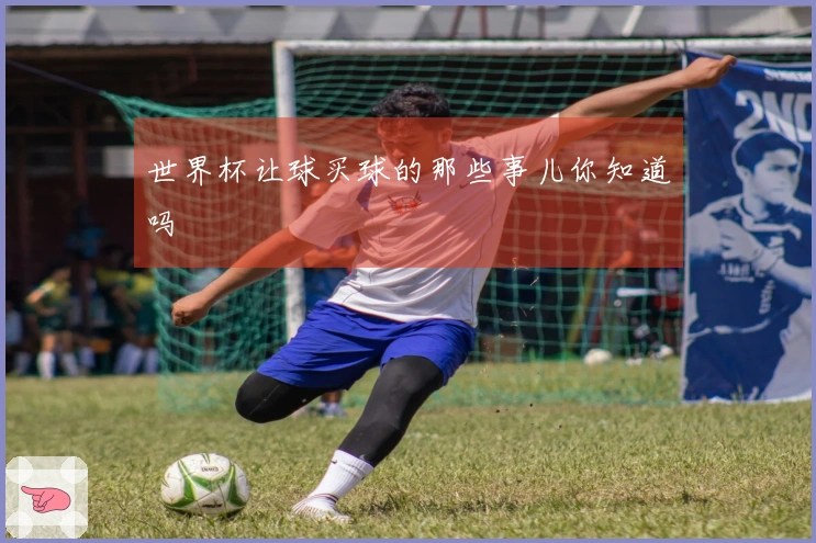 世界杯让球买球的那些事儿你知道吗